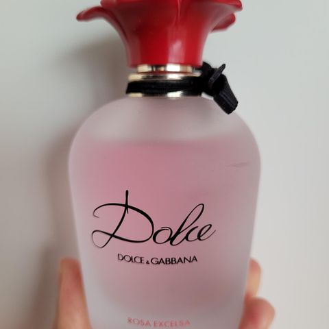 Dolce and Gabbana Rosa Excelsa