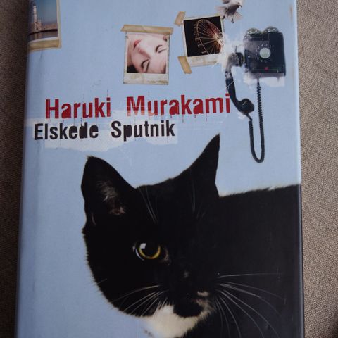 Haruki Murakami - Elskede Sputnik