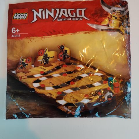 LEGO Ninjago 40315 Temple Journey