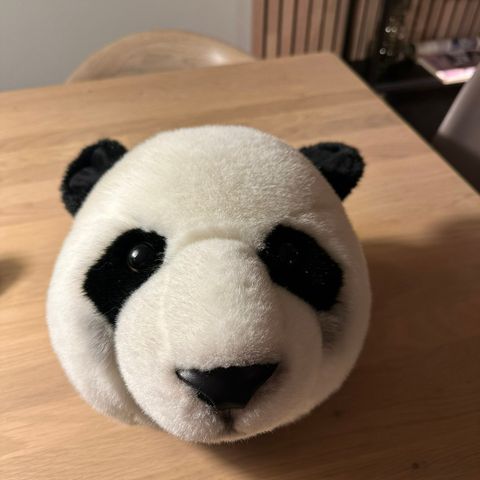 Dyrehoder fra Brigbys panda