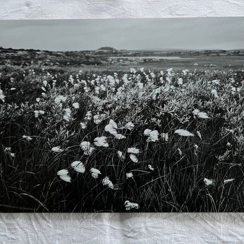 Fotografi på aluminiumsplate 30x40cm