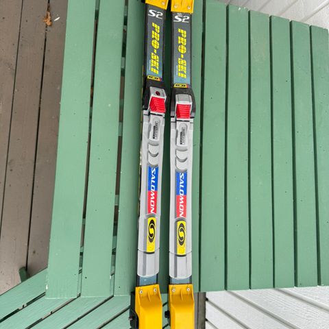 Rulleski Pro Ski S2 skate