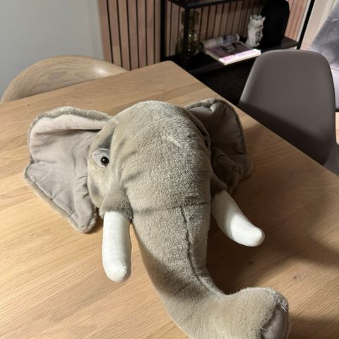 Dyrehode fra Brigbys elefant