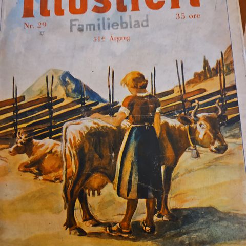 Illustrert familieblad nr 29 årgang 51 1937