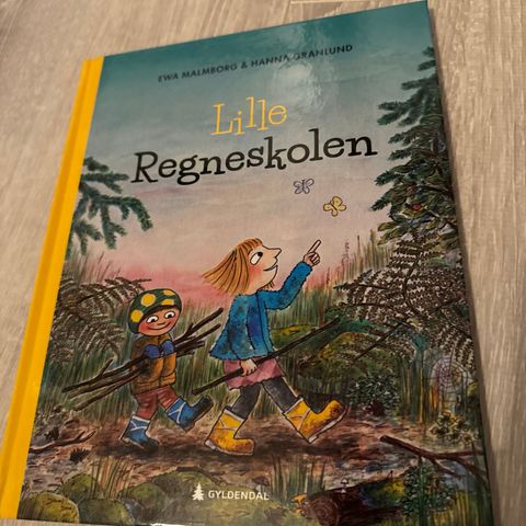 Barnebok - Lille Regnskolen