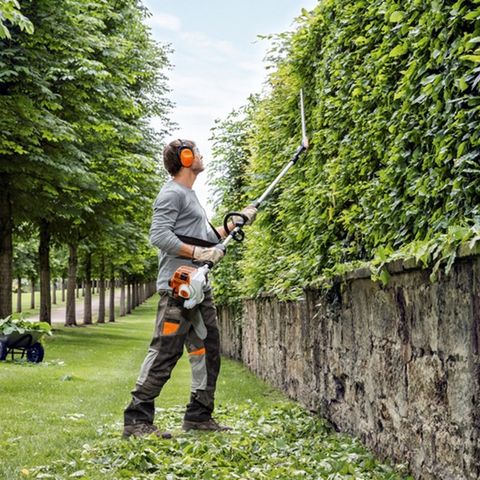 UTLEIE : Hekksaks med langt skaft. Proff maskin. Stihl