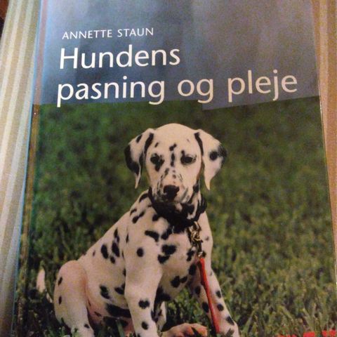 Hundens pasning og pleje, Annette Staun