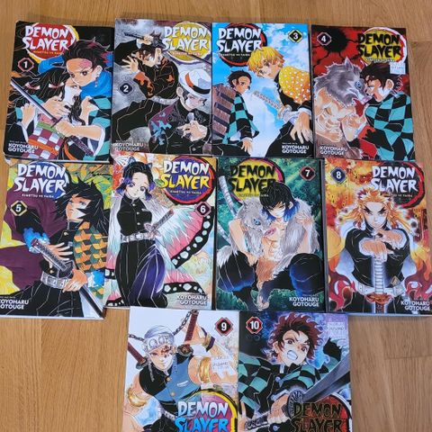 Demon slayer, 1-10