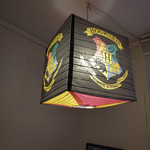 Harry Potter rislampe