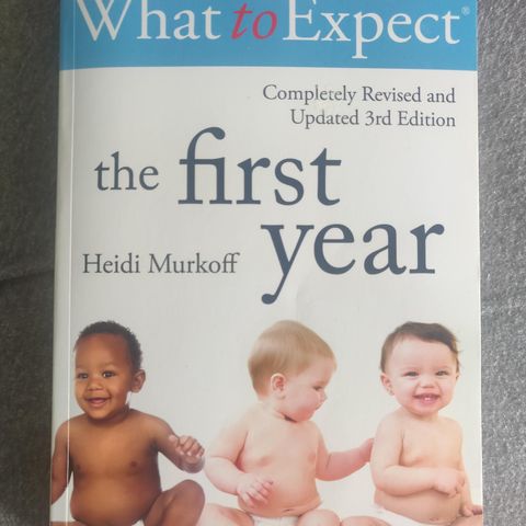 What to expect the first year - Heidi Murkoff - bok om barn