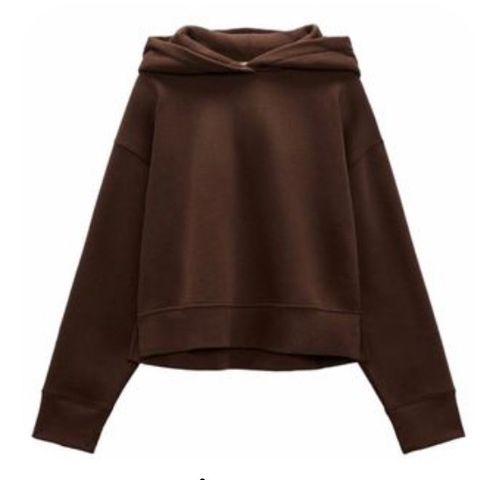 Brun Zara Hoodie