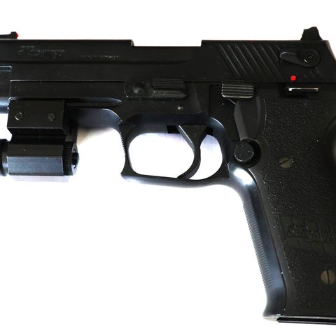 Sig Sauer