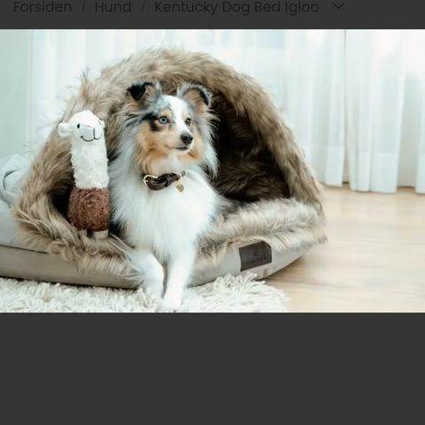 Kentucky Dog Bed Igloo -S