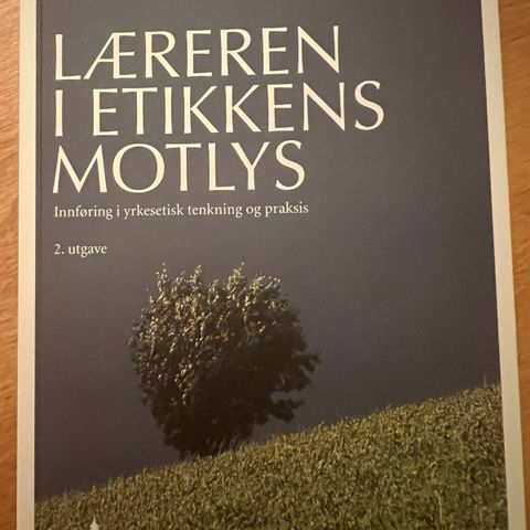 Læreren i etikkens motlys