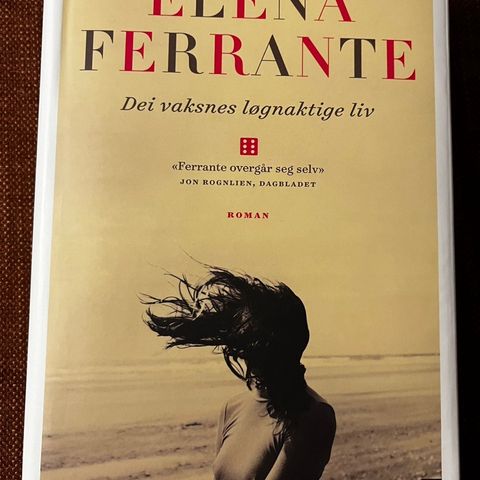 Elena Ferrante : Dei vaksnes løgnaktige liv ( innbundet)