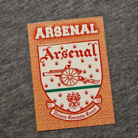 Arsenal Badge E01 / E20 Merlin's Premier Gold 1996-97