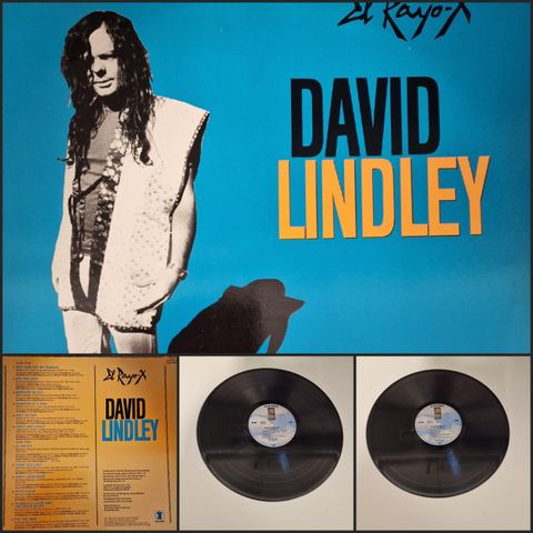 DAVID LINDLEY "EL RAYO-X" 1981