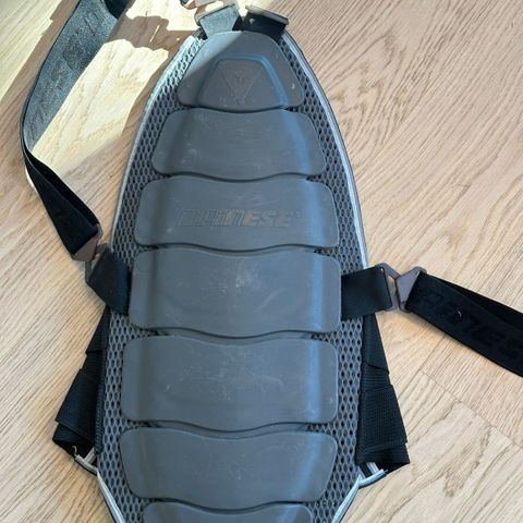 Ryggplate Dainese Medium