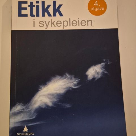 Etikk i sykepleien