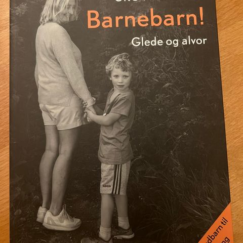 Barnebarn - glede og alvor