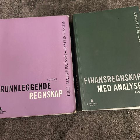 Grunnleggende regnskap & finansregnskap med analyse