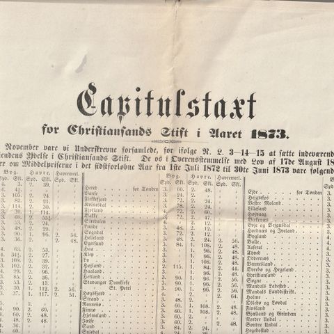 Stor dekorativ plakat om Capitalskatt for Christiansand  stift 1873.