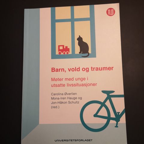 Barn, vold og traumer: møter med unge i utsatte livssituasjoner