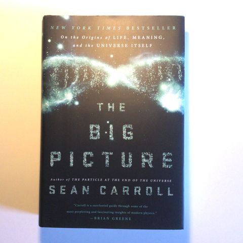 Bok - The Big Picture av Sean Carroll på Engelsk (Innbundet)