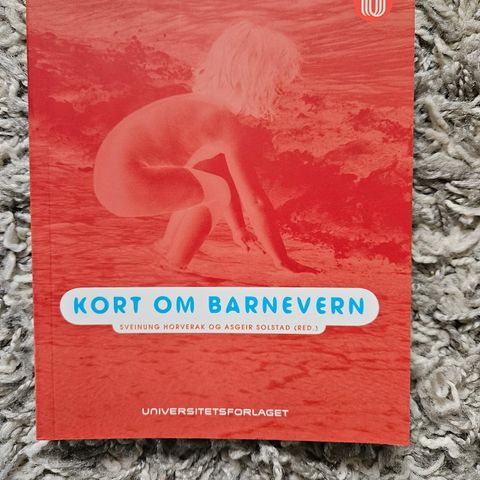 Kort om barnevern- Horverak og Solstad