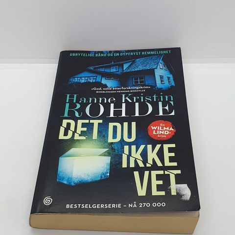 Det du ikke vet - Hanne Kristin Rohde