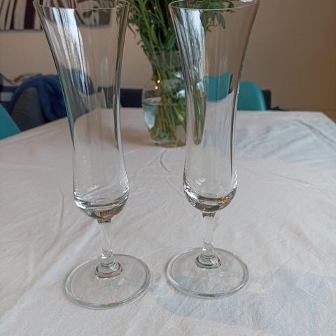 6 stk champagneglass