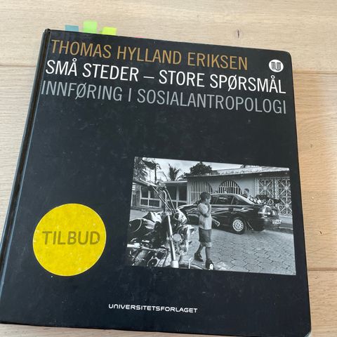 Små steder-store spørsmål av Hylland Eriksen