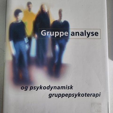 Sigmund Karterud: Gruppeanalyse og psykodynamisk gruppepsykoterapi