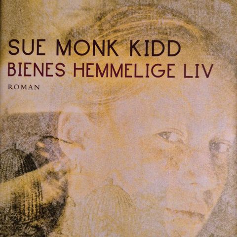 Sue Monk Kidd: Bienes hemmelige liv.