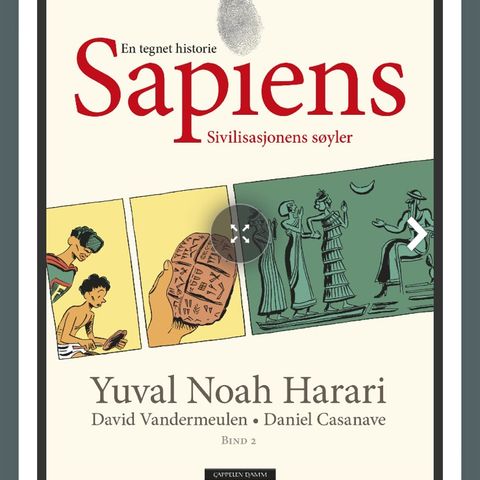 En tegnet historie: Sapiens