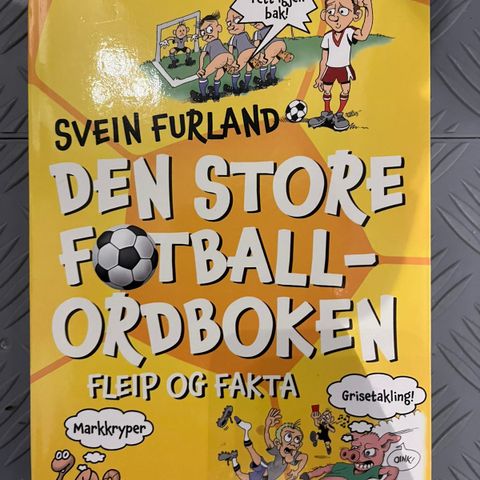 Den store fotballordboken