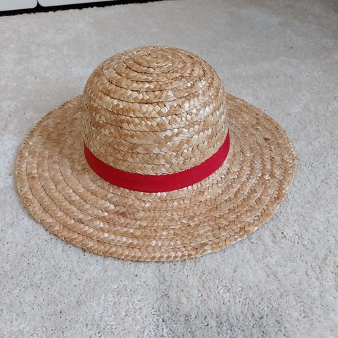 Luffy One Piece hat.