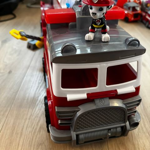 paw patrol