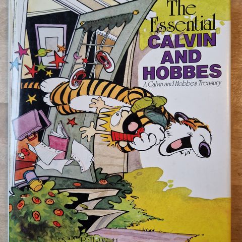 Tommy og tigeren - Calvin and Hobbes 1988