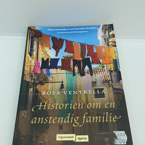 Historien om en anstendig familie - Rosa Ventrella