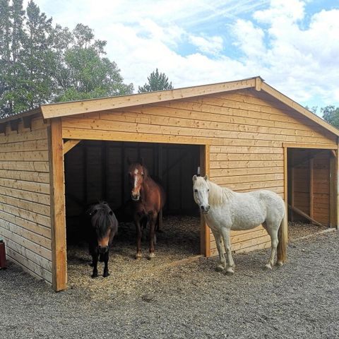 Ledig utegang i Stokke/Sandefjord