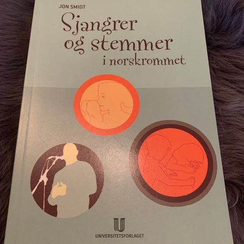 Jon Smidt: Sjangrer og stemmer i norskrommet