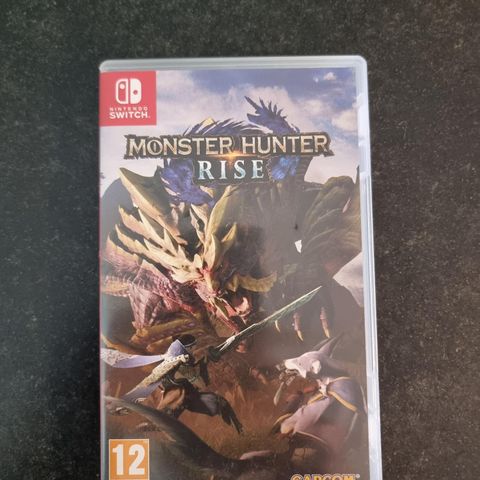 Monster Hunter Rise