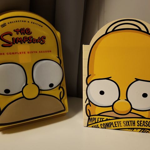 The Simpsons sesong 6, DVD collector's edition