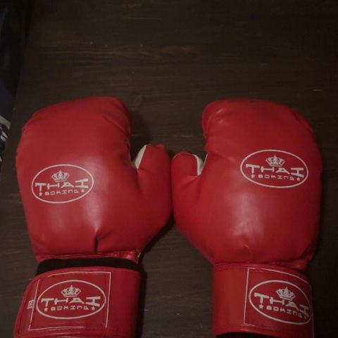 ThaiBoxing Hansker