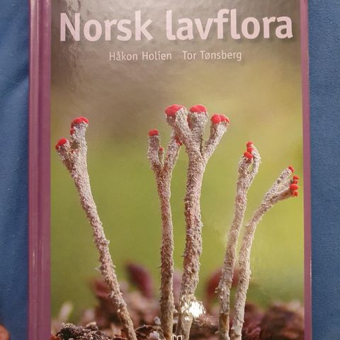 Norsk lavflora - 2. utgave - Håkon Holien og Tor Tønsberg