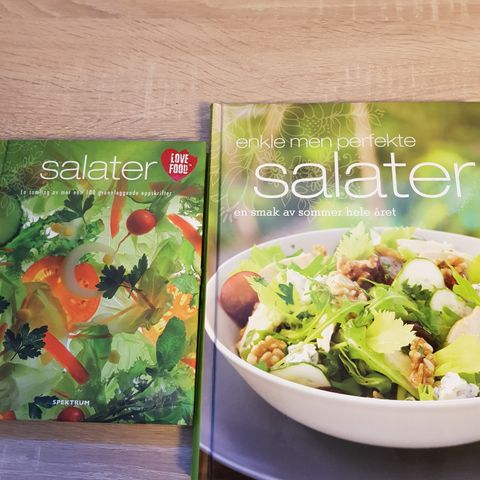 Bøker om Salat oppskrifter