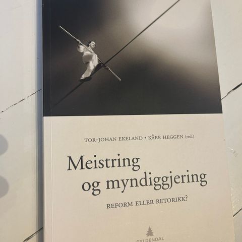 Meistring og myndiggjering