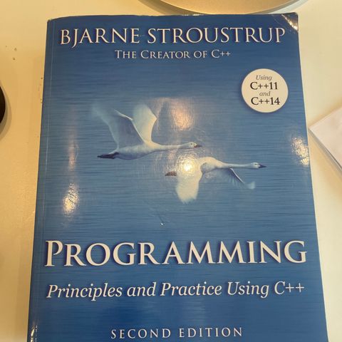 Programming Bjarne Stroustrup