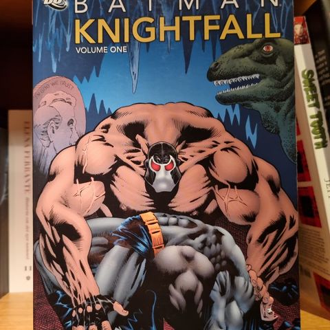 Batman Knigthfall volume one